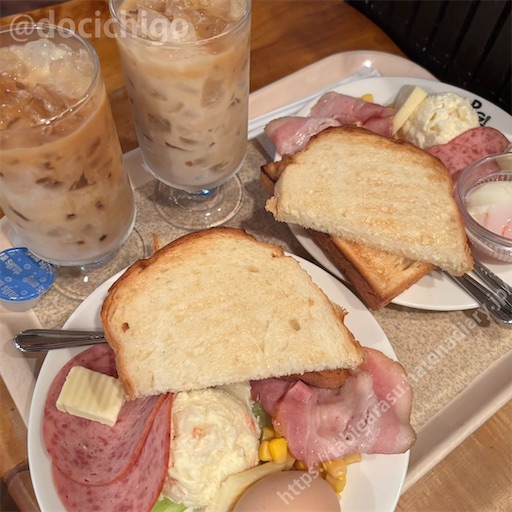 f:id:docichigo:20251207204202j:image