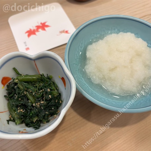 f:id:docichigo:20251214182422j:image