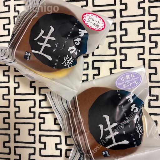 f:id:docichigo:20260201200902j:image f:id:docichigo:20260201200902j:image