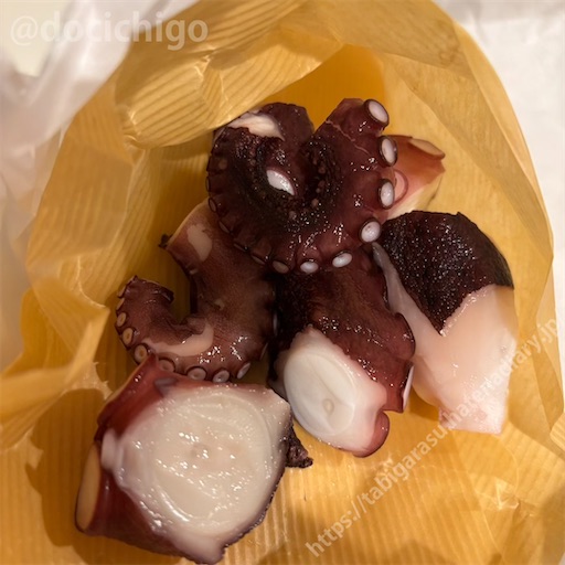 f:id:docichigo:20260201203001j:image
