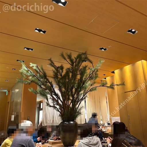 f:id:docichigo:20260208183340j:image