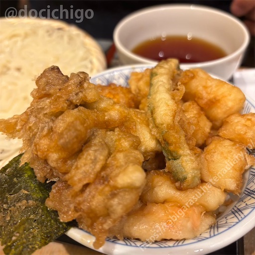 f:id:docichigo:20260208183435j:image