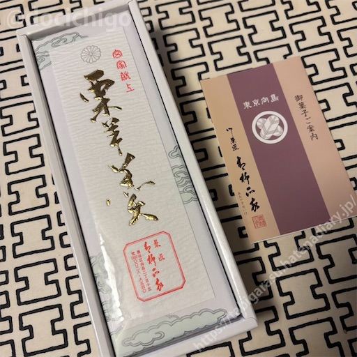 f:id:docichigo:20260215135624j:image