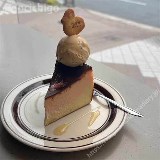 f:id:docichigo:20260308172552j:image