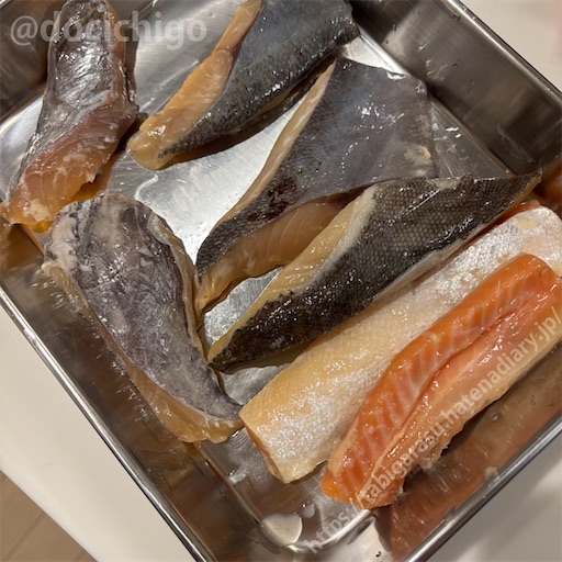 f:id:docichigo:20260308190858j:image