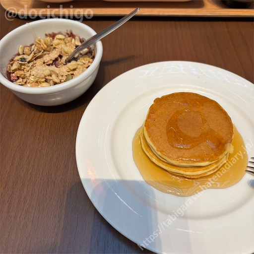 f:id:docichigo:20260322200924j:image