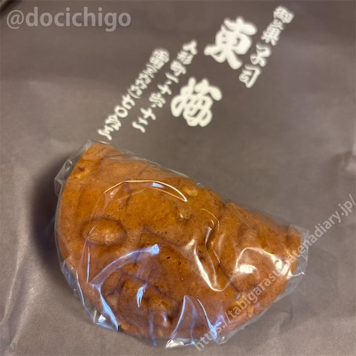 f:id:docichigo:20260405171750j:image