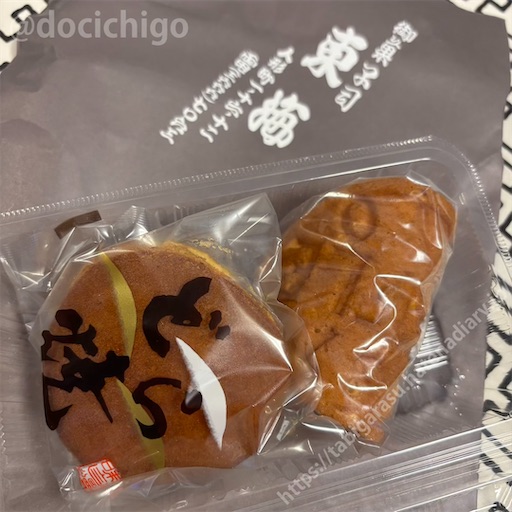 f:id:docichigo:20260405171753j:image