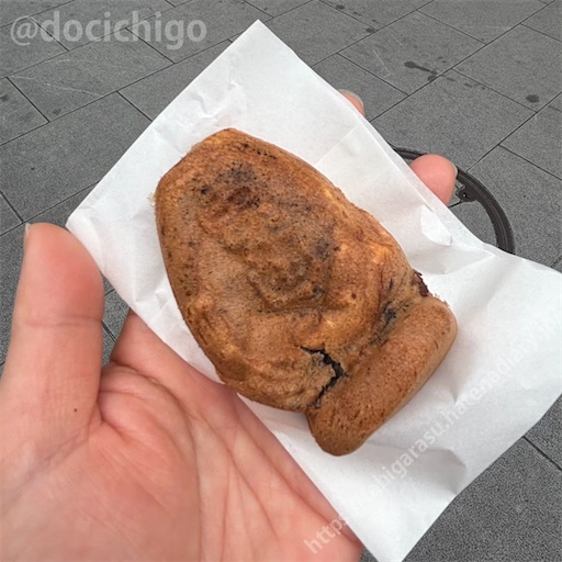 f:id:docichigo:20260405174851j:image