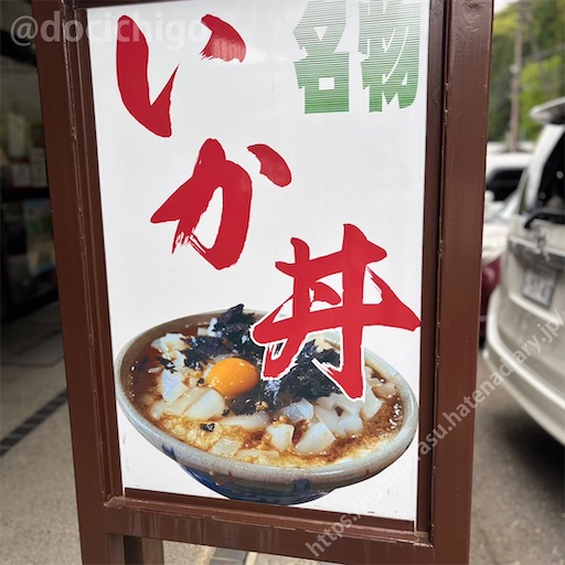 f:id:docichigo:20260510115547j:image