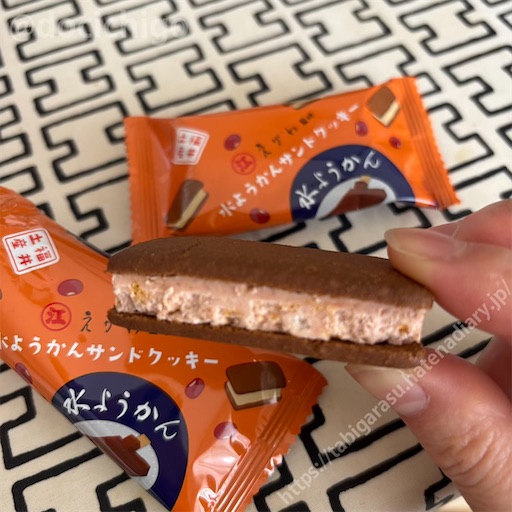 f:id:docichigo:20260802152612j:image