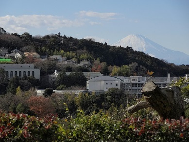 円覚寺