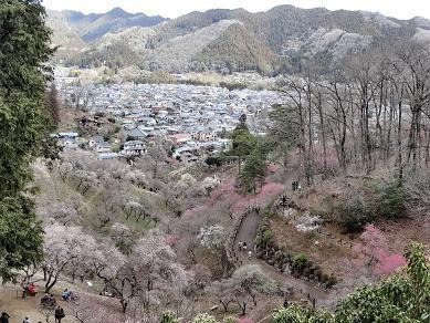 梅の公園