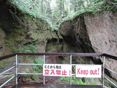 苔の洞門