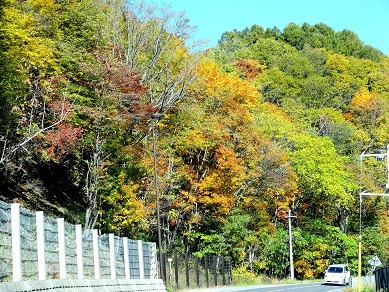 国道453号線
