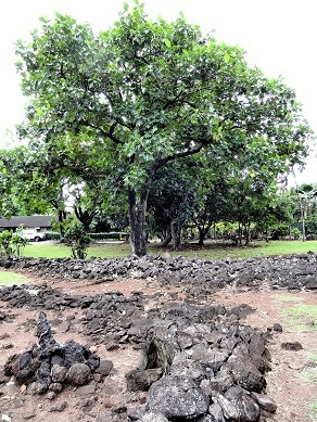 ケアイヴァヘイアウ