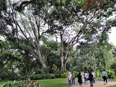 ワヒアワ植物園