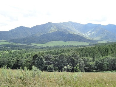 十勝千年の森