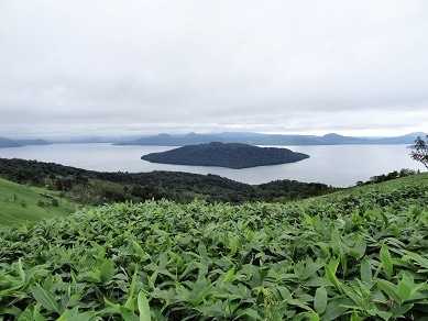 美幌峠