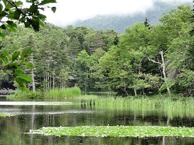 知床五湖