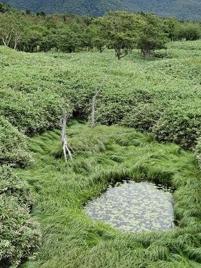 知床五湖