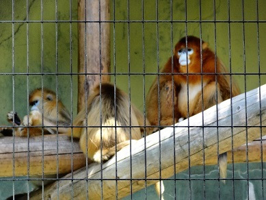 熊本市動植物園