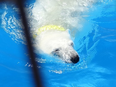 熊本市動植物園