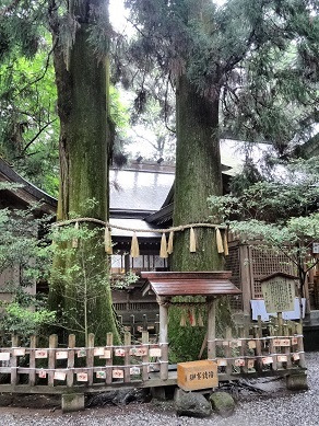 高千穂神社