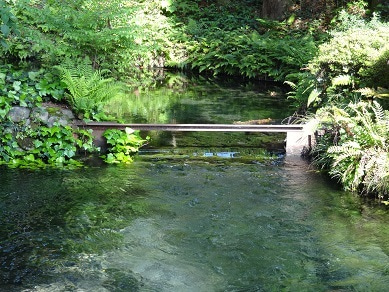 白川水源