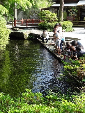 白川水源
