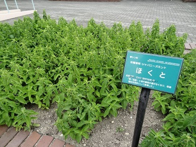 北見ハッカ記念館