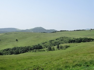 ナイタイ高原牧場