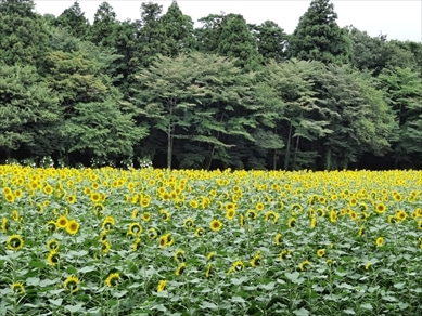 旧青木家那須別邸