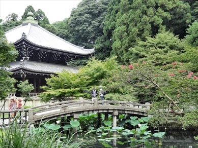 知恩院