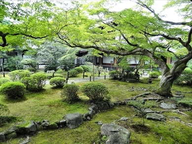 青蓮院門跡
