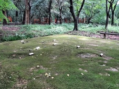 糺の森