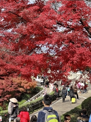 清水寺