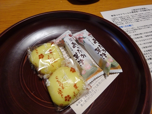 f:id:docoiko:20210220184321j:plain