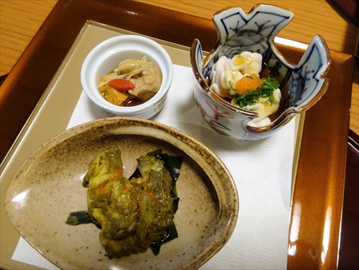 f:id:docoiko:20210220184337j:plain