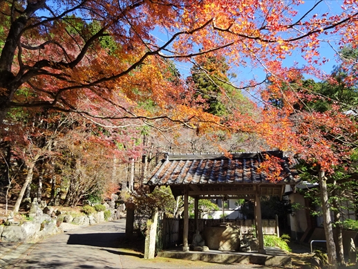 f:id:docoiko:20211204051155j:plain