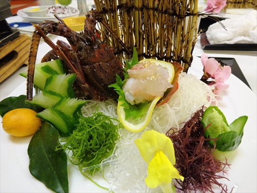 f:id:docoiko:20220321190210j:plain