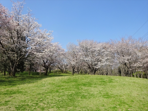 f:id:docoiko:20220409161507j:plain