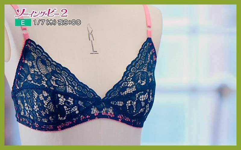 Sewing Lingerie 縫製ガイド　ソーイング　手作りランジェリー Sewing Lingerie 縫製ガイド ソーイング 手作りランジェリー