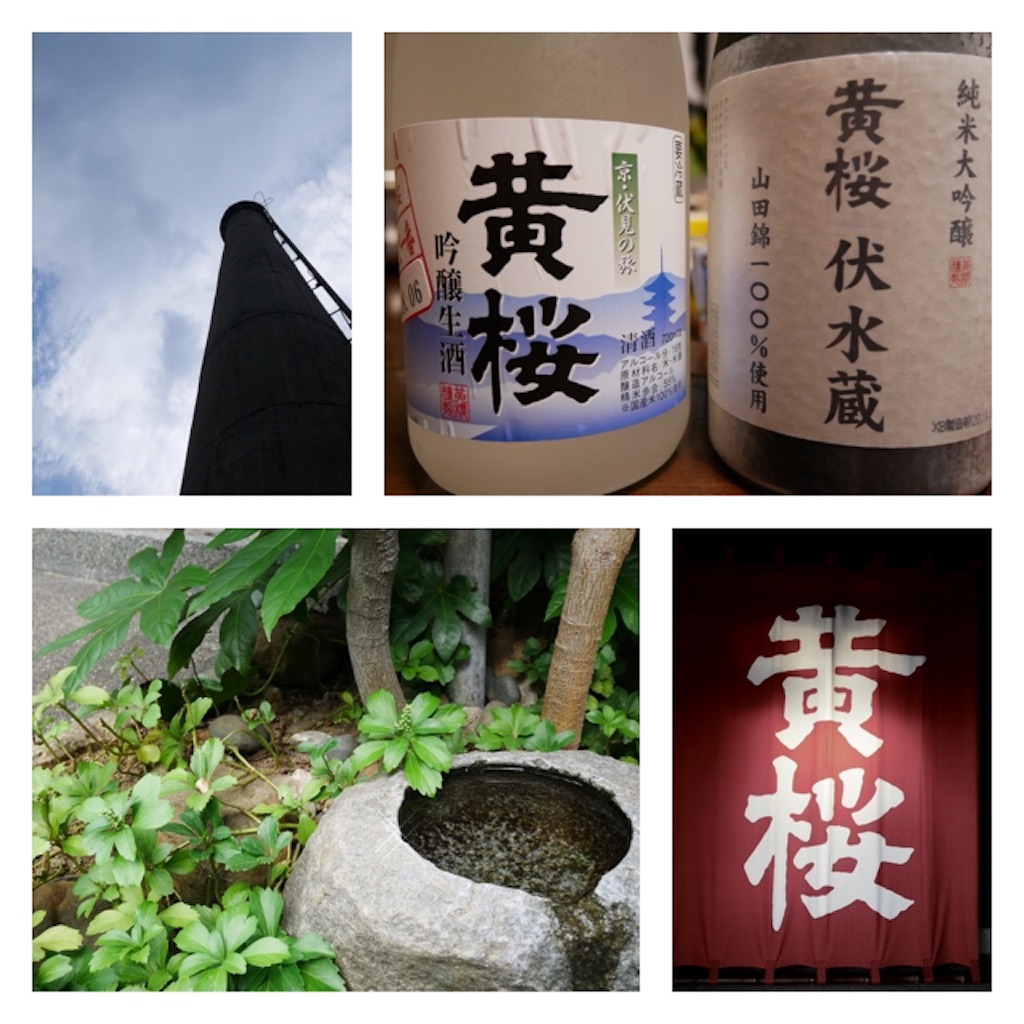 f:id:docoyuco:20180630104725j:image f:id:docoyuco:20180630104725j:image