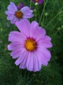 f:id:docter:20101003164648j:image:medium:right