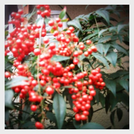 f:id:docterlecter:20070102182732j:image f:id:docterlecter:20070102182732j:image