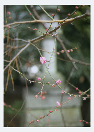 f:id:docterlecter:20070305080858j:image f:id:docterlecter:20070305080858j:image