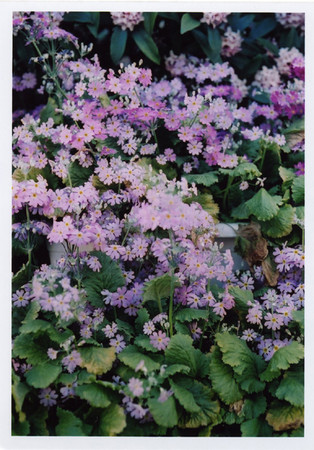 f:id:docterlecter:20070408184315j:image f:id:docterlecter:20070408184315j:image