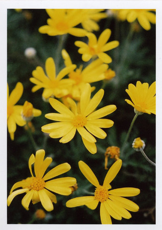 f:id:docterlecter:20070408185037j:image f:id:docterlecter:20070408185037j:image