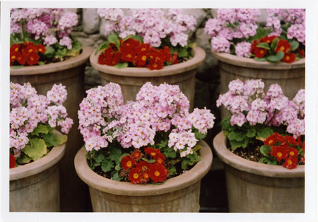 f:id:docterlecter:20070408185121j:image f:id:docterlecter:20070408185121j:image